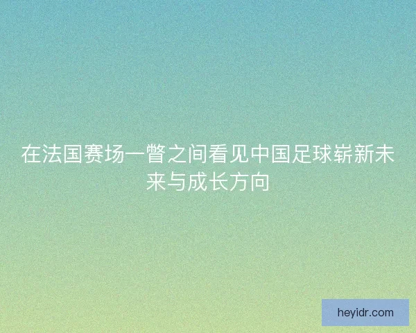 在法国赛场一瞥之间看见中国足球崭新未来与成长方向